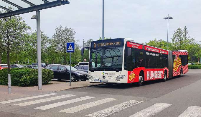By bus
