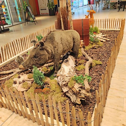 Ausstellung Kuscheltiere